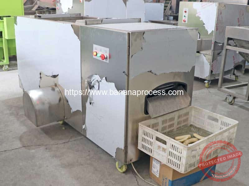 Automatic-Advanced-Feeding-Double-Inlet-Green-Banana-Peeling-Machine-Testing-for-France-Customer
